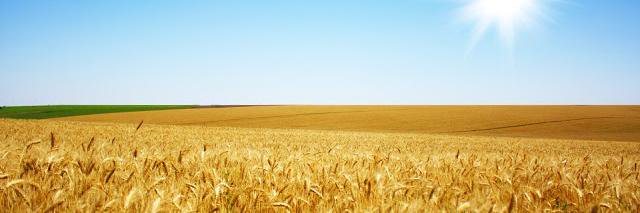 PiseMan's profile banner image