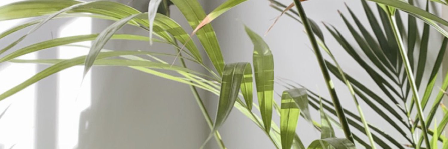 minomasmali's profile banner image