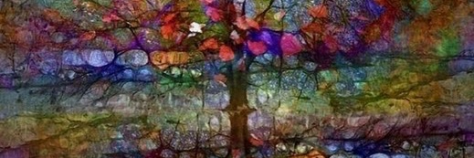 Annie 🌿❤️🌿 banner