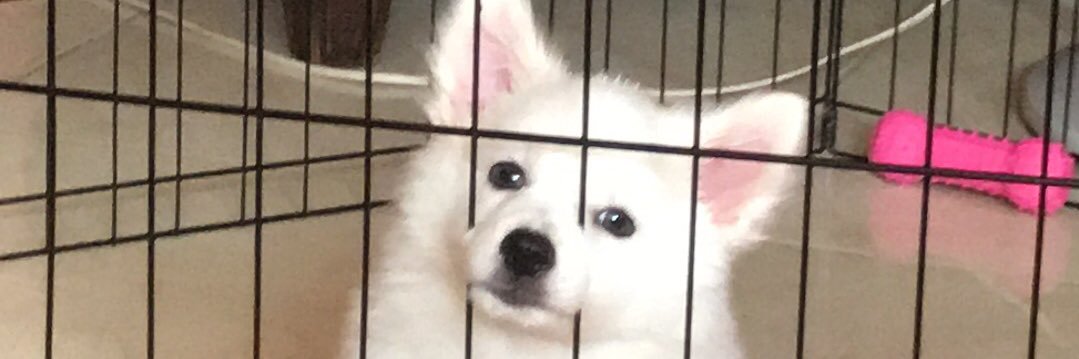 jlynxt's profile banner image