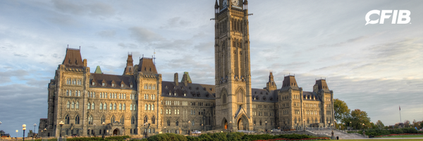 CFIB Profile Banner