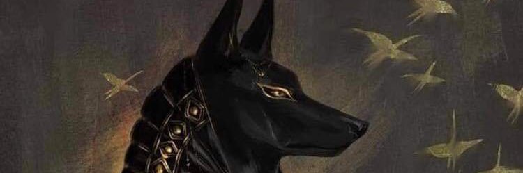 jonnyserna15's profile banner image