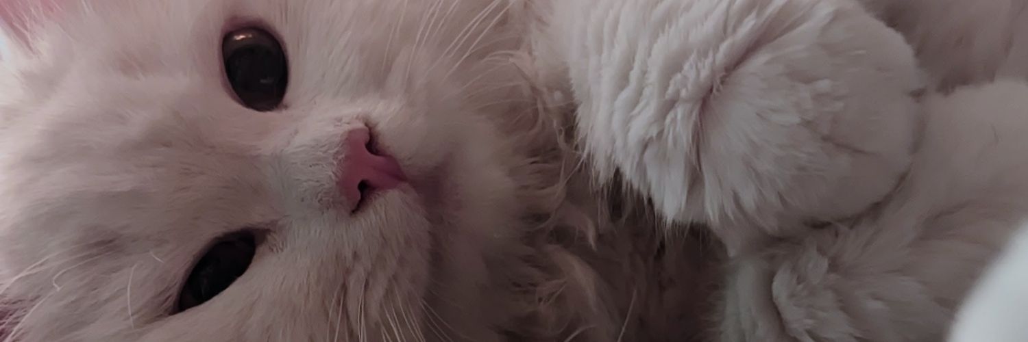 ramkoti33's profile banner image