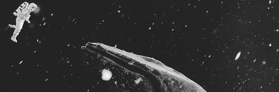 KellyeasterNP's profile banner image