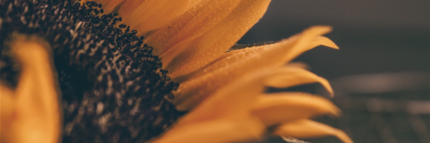 77_MA_'s profile banner image