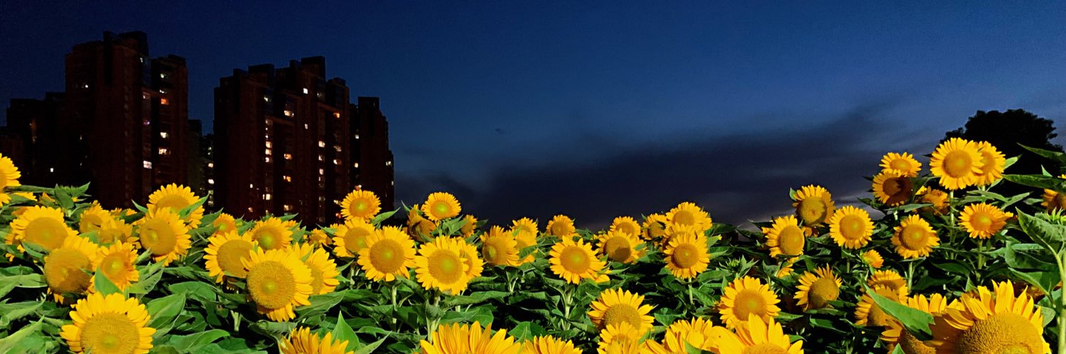 aa_li_99's profile banner image