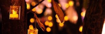 tearose25's profile banner image