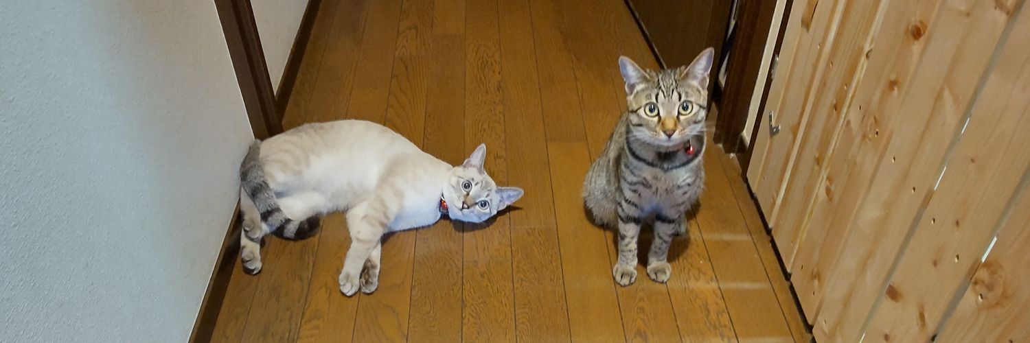 そーすい banner