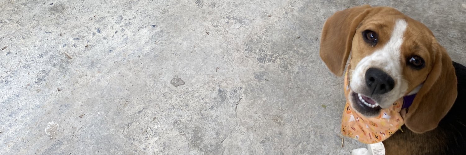 CindyyyyyyR's profile banner image