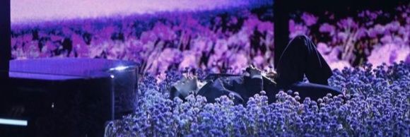 Beverly_Melrose ⏳️ banner