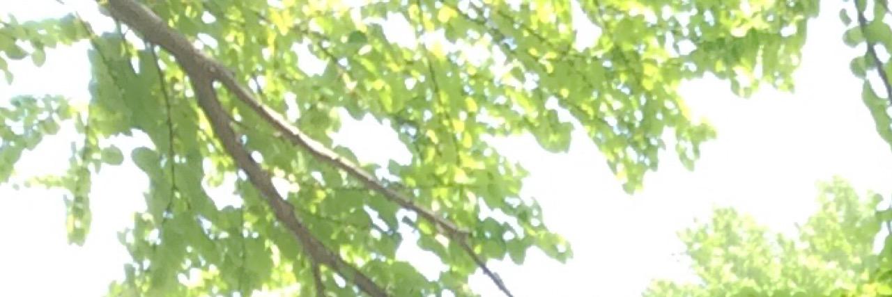 chsn10's profile banner image