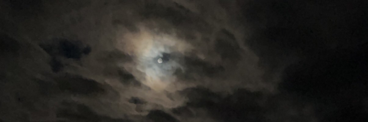 MarijaMlp's profile banner image