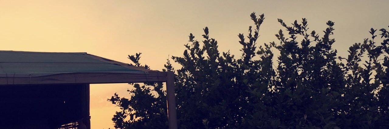 ruq_msr's profile banner image