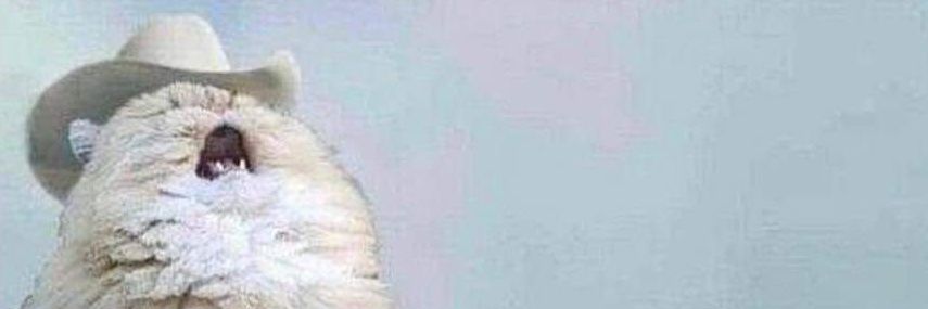 vanessayve's profile banner image