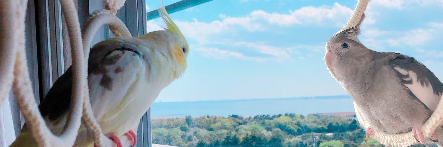 lnknmrp's profile banner image