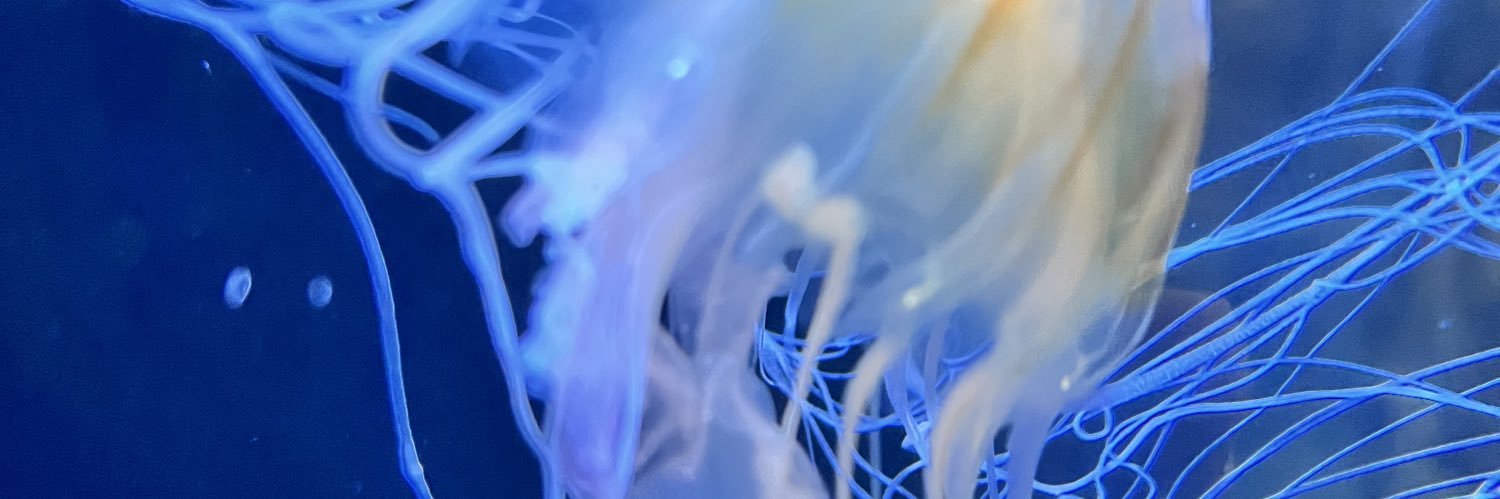 grimz79's profile banner image