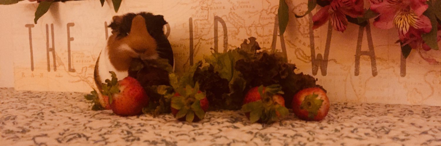 rachael0717's profile banner image