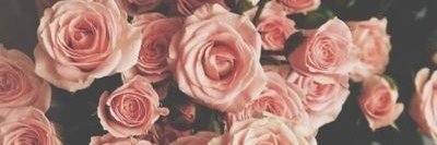 KristinLitz's profile banner image