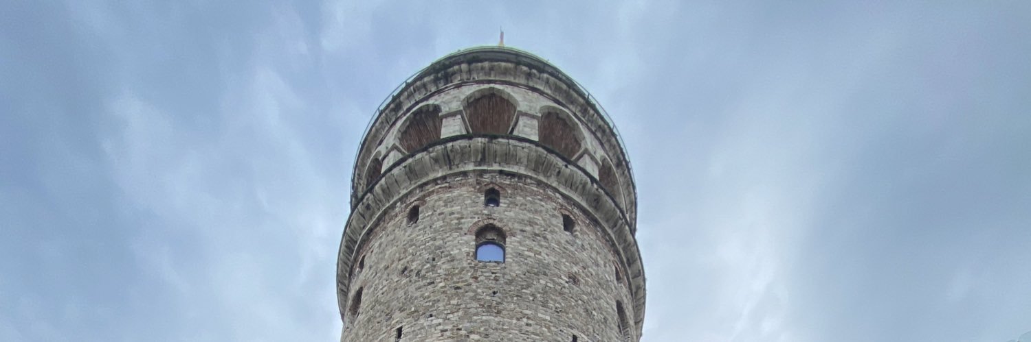 turanarikk's profile banner image