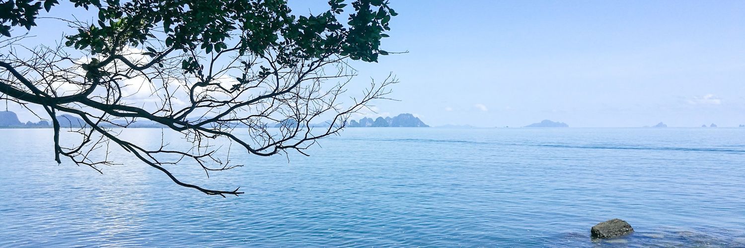 Nothingness_tsc's profile banner image