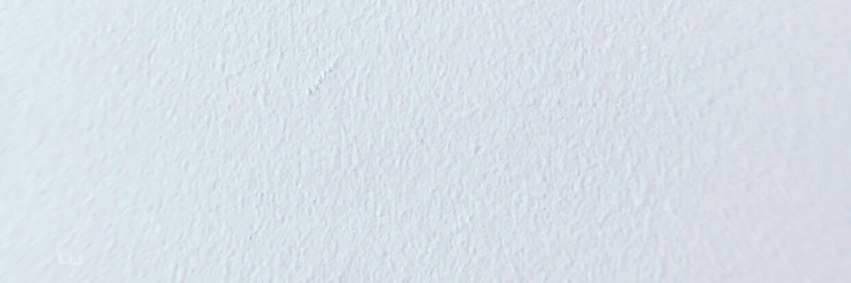 loonieEclipse's profile banner image