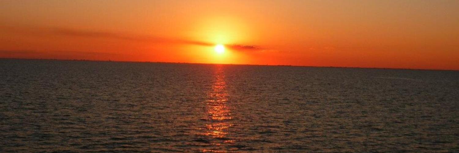 Elliott Silverstein banner