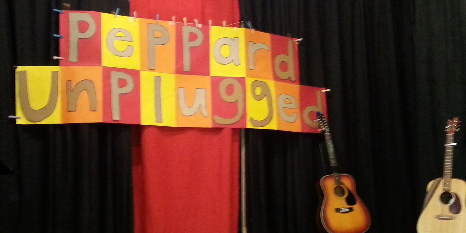 PeppardUnplugge's profile banner image