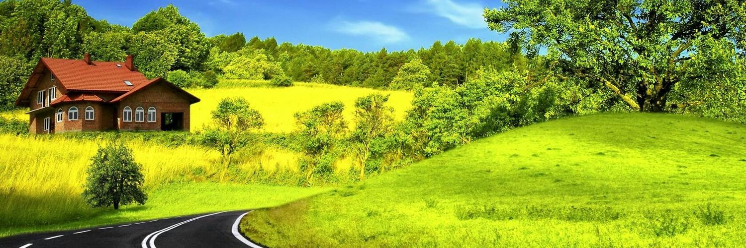 progjo's profile banner image