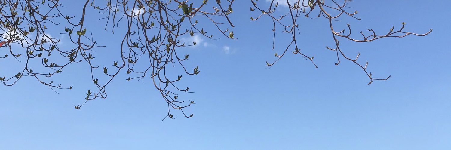 T  I  P  A banner