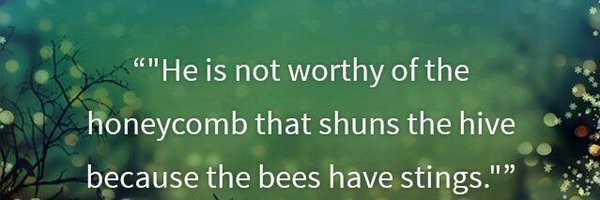 wanjue5 Profile Banner