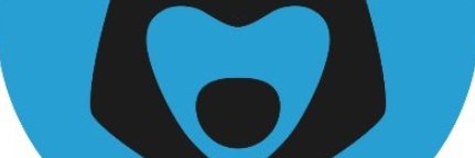 Henster banner