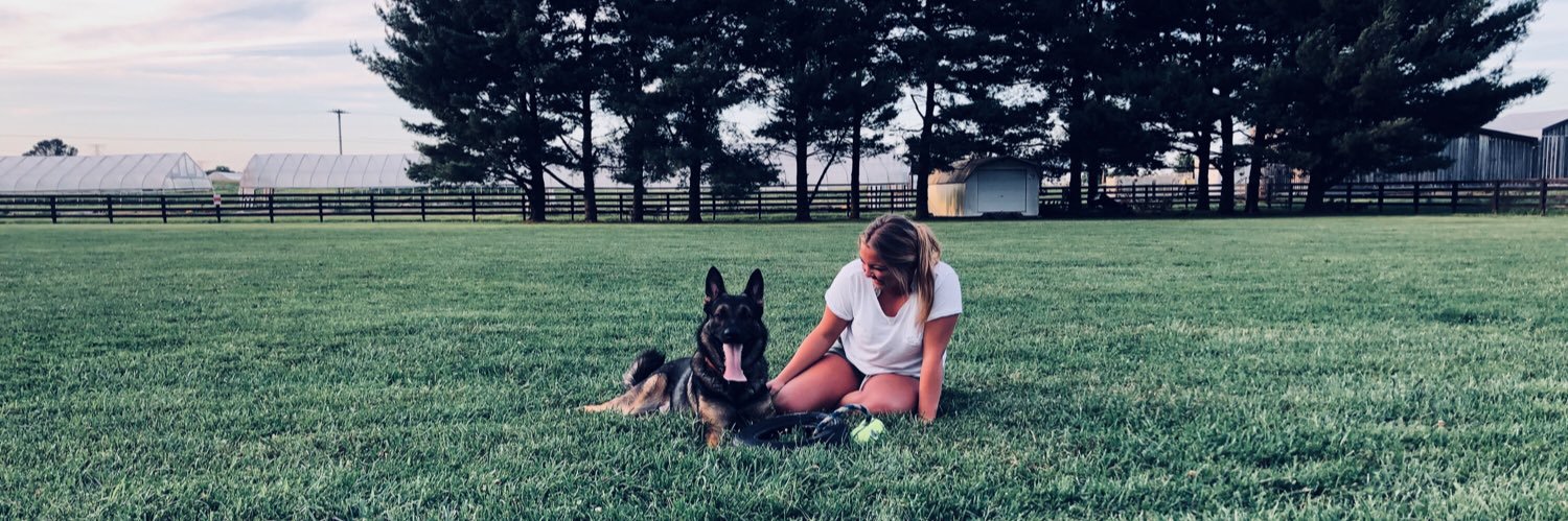 lesliedewain's profile banner image