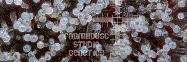 shwale Profile Banner