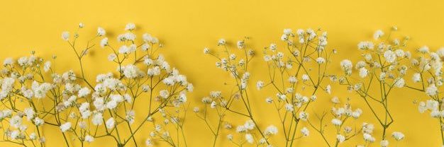 Asi_EL_'s profile banner image