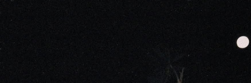 jamesrowanlore's profile banner image