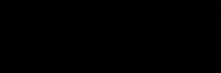 Naoki Leave. banner
