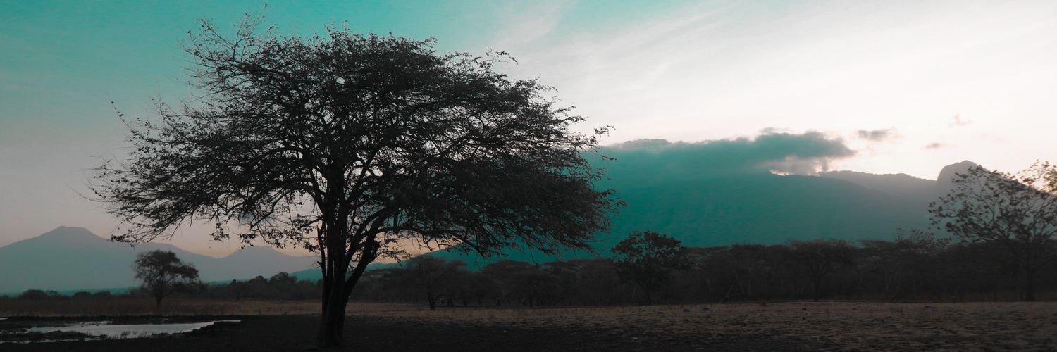 autentikaaaa's profile banner image