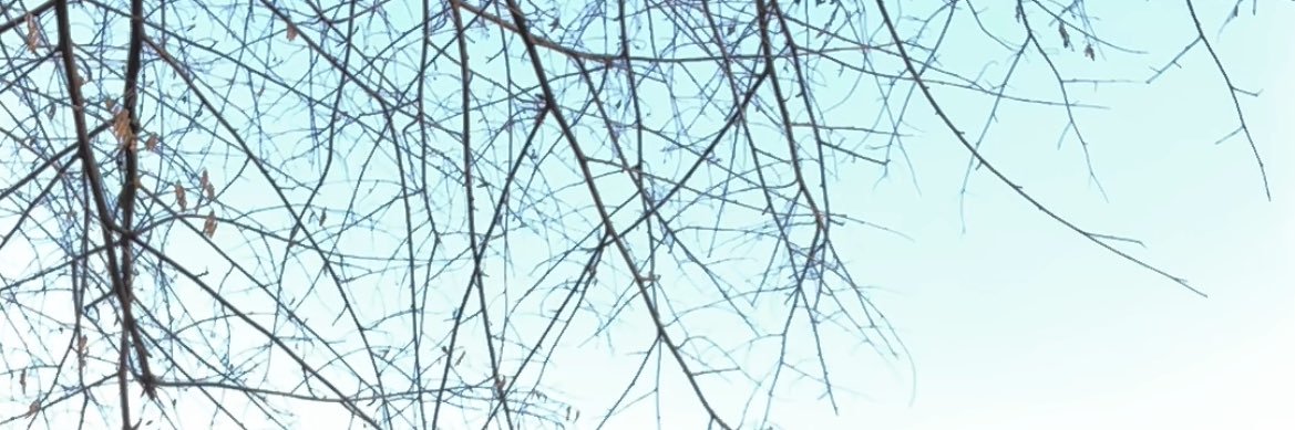 Dherma Adel banner