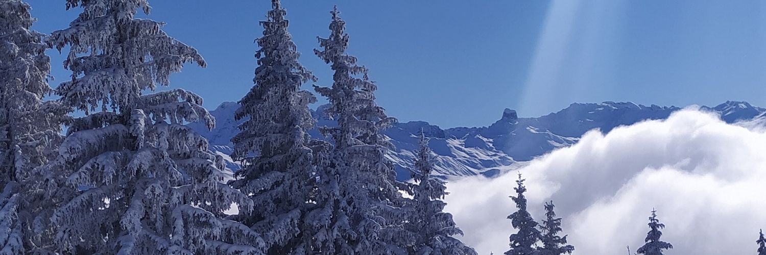 PierreTrahand's profile banner image