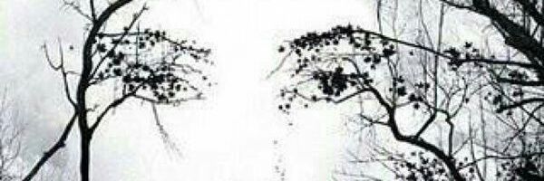 dhrh120's profile banner image