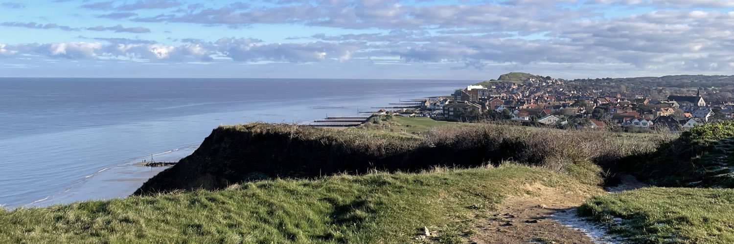 Melanie Hides (Large) banner