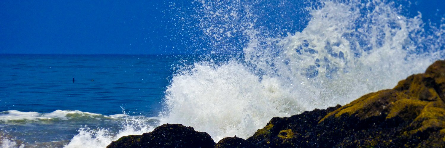 JulieanneCase's profile banner image