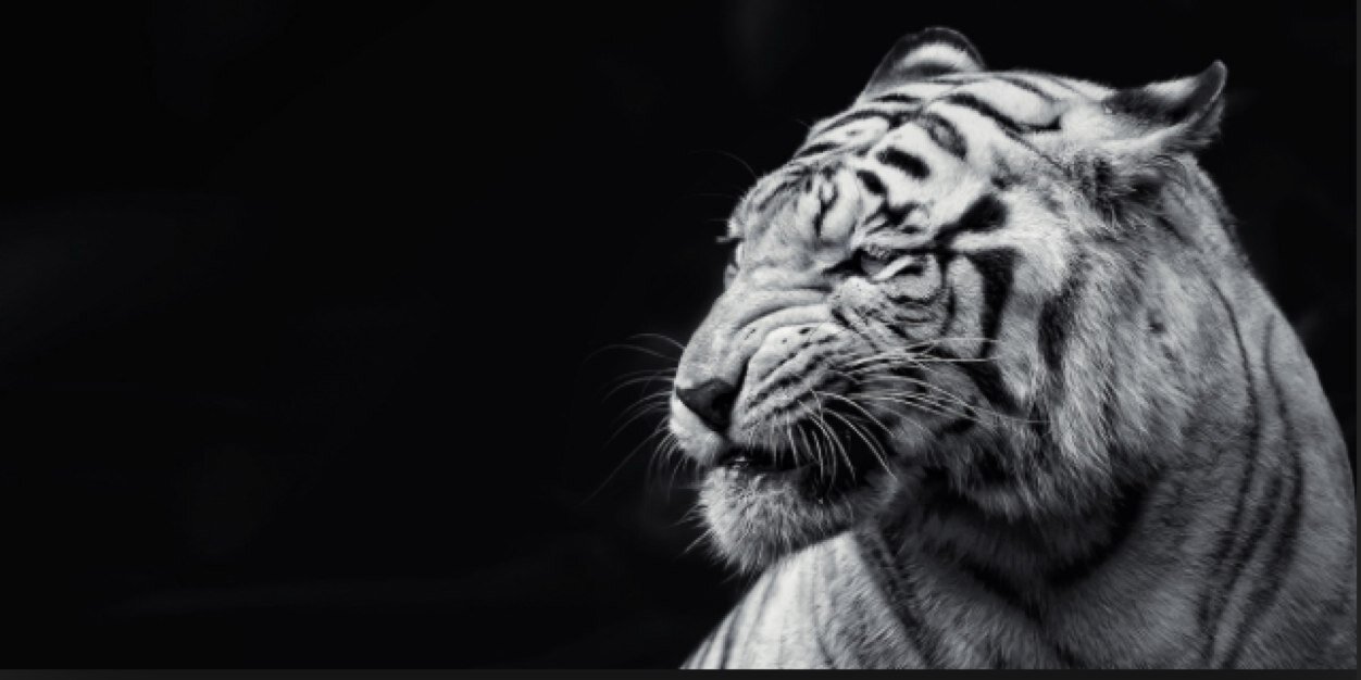 HjklgN's profile banner image
