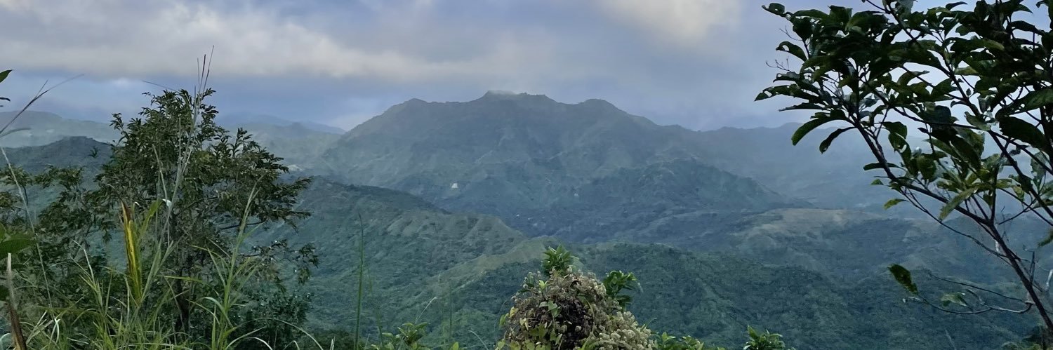 maegankho's profile banner image