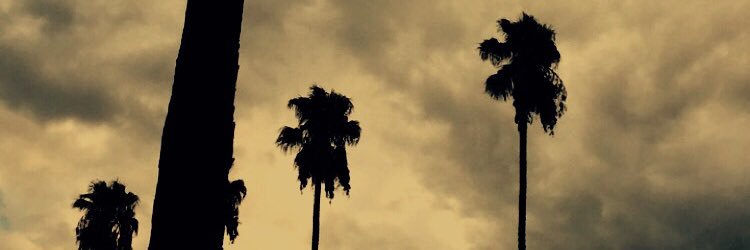 Cali_Rep's profile banner image