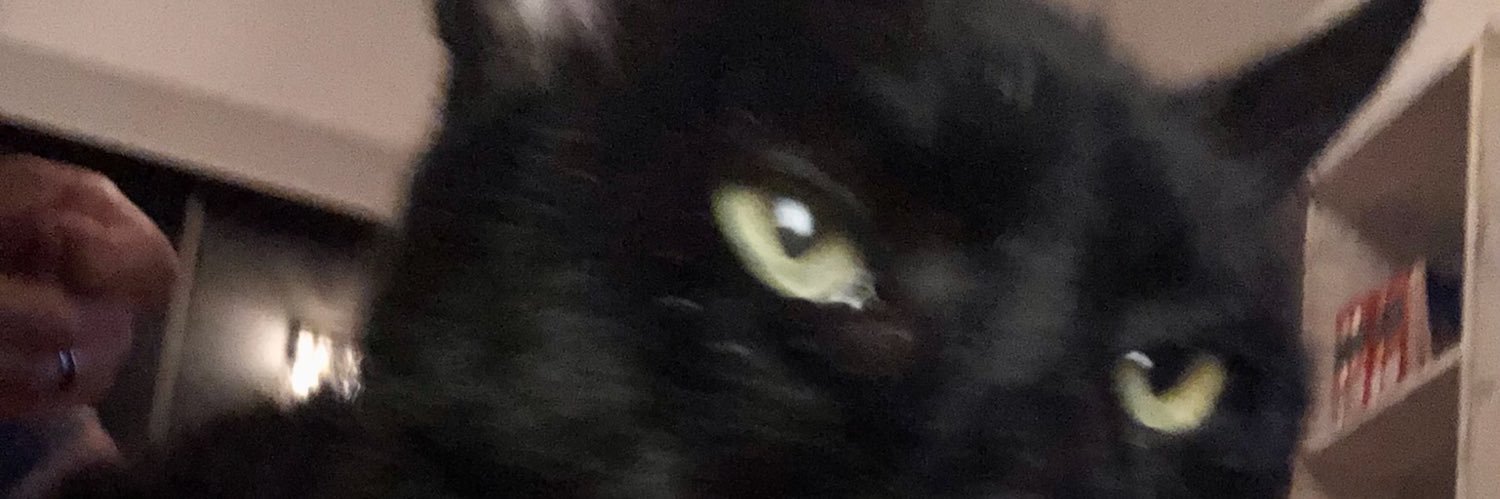 ElNegroMont's profile banner image