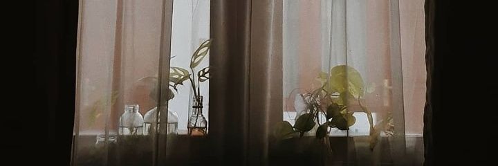 FideliaRachel's profile banner image