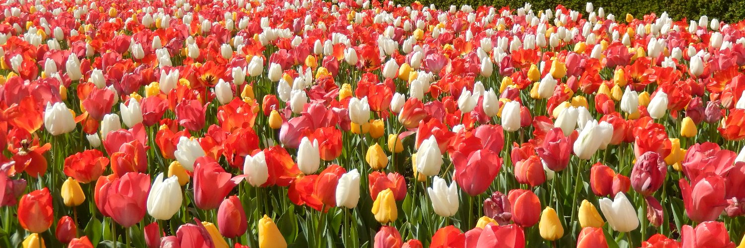 PaulineCycling banner