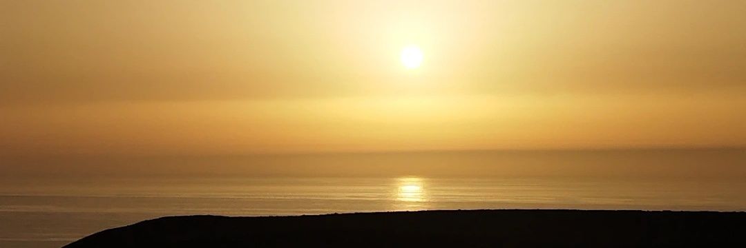 martapalinhos's profile banner image
