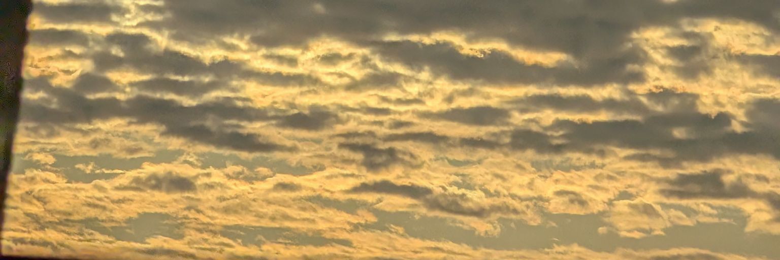 stoo_guiso's profile banner image